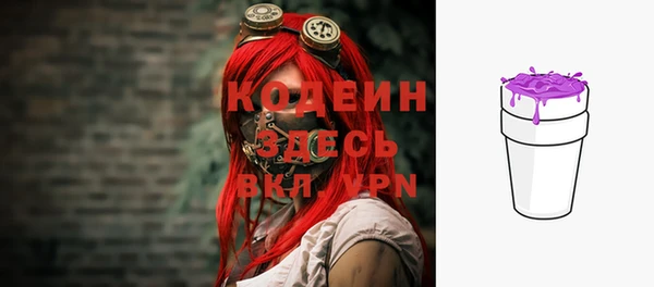 шишки Нязепетровск