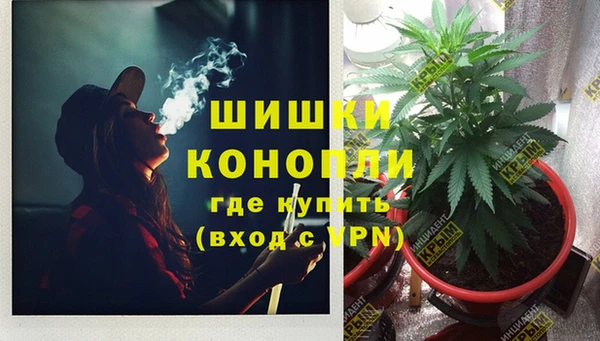 гашик Гусиноозёрск