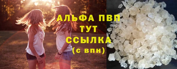 дживик Няндома