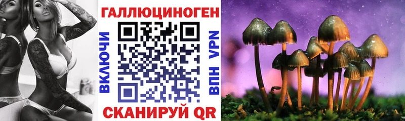 Галлюциногенные грибы мухоморы где можно купить OMG как зайти Плёс